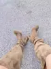 Botas Nuevas de Pantorrilla Ancha Botas Ceñidas Fruncidas Tacón Grueso Botas Altas Botas de Montar de Tacón Alto Botas Versátiles Hasta la Rodilla Punta Redonda