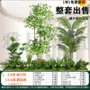 Gran simulación de diseño combinado de paisaje verde interior plantas verdes falsas biónicas avanzadas debajo de las escaleras adornos de árboles decorativos