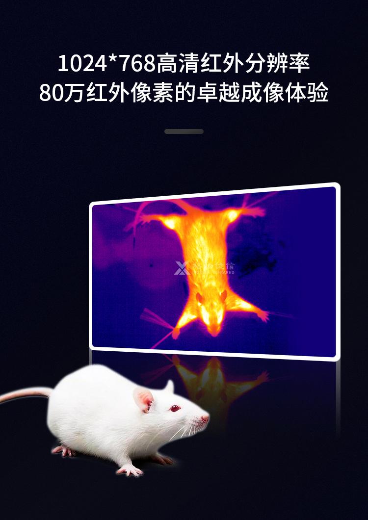 小白鼠癌症科研热成像监测系统_03