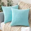 Funda de Almohada de Pana al por Mayor Transfronteriza Funda para Cojín de Sofá Lujo Ligero Tacto de Gama Alta Cojín para Cabecera Cojín para Respaldo Sin Relleno