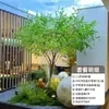 Árbol de Campana Japonesa Artificial con Follaje para Paisajismo, Modelo Grande para Exhibición en Ventana, Decoración de Sala Modelo, Árbol Falso Estilo Nórdico Ins de Madera de Caballo