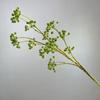 Amazon Flores Artificiais Atacado Flores Artificiais Decorativas de Alto Nível Hera Fruta Decoração para Casa Sala de Estar Adornos de Sala Modelo para Fotografia