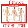 Gráfico de Pontos de Acupuntura para Moxabustão do Corpo Humano, Gráfico de Moxabustão, Gráfico de Pontos de Acupuntura dos Meridianos do Corpo Humano, Livro de Terapia com Moxabustão, Ventosaterapia, Gua Sha, Massagem