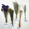 Decorações para Gaiola de Hamster, Paisagismo Estilo Selvagem, Buquês de Flores Secas, Petiscos para Hamster Dourado, Suprimentos de Paisagismo Desodorizantes de Verão