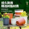 Macetas de Plástico para Flores y Plantas Verdes, Macetas Grandes para Suculentas para Patio, Uso en Interiores y Exteriores, Flores de Cerámica de Imitación