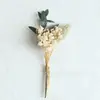 Mini Ramo de Flores Secas Naturales Tarjeta Decoración Material DIY Accesorios para Caja de Regalo Recuerdo Ramillete Amazon Transfronterizo