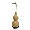 Calabazas Naturales con Asas Disponibles en Stock, Tamaños Grande, Mediano y Pequeño para Fines Decorativos, Calabazas Pequeñas para Girar con la Mano y Jugar