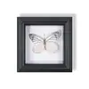Marco de Fotos de Espécimen de Mariposa Pintura Decorativa de Madera Adorno Retro Europeo Soporte de Exhibición Muebles DIY Regalo de Cumpleaños Regalo