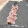 Flor artificial de Phalaenopsis de PU para boda, arreglo floral de boda, orquídea de alta calidad, decoración del hogar, flor de simulación al por mayor