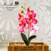 Mini Flor Artificial Phalaenopsis Acessórios DIY Suprimentos para Arranjo de Flores Plantas Artificiais Folhagem Artificial de Alta Qualidade