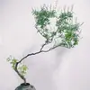 Inclinado sin Amarillo sala de transmisión en vivo interior en maceta paisajismo forma flotante dormitorio árbol viejo bonsái té Zen sin maceta