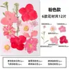 Marcapáginas de flores secas especímenes colección de primavera en botella de película plástica materiales hechos a mano para manualidades estudiantes de primaria flores transparentes
