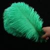 Directo de fábrica 35-40 cm pluma de avestruz actuación en escenario color pluma grande diy decoración de boda flor avestruz