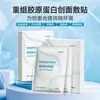 Adesivo de Compressa Fria de Grau Médico com Curativo de Colágeno Recombinante, Adesivo de Reparo de Hialuronato de Sódio de Grau de Dispositivo Médico Estéril