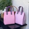 Bolsa Isotérmica Descartável Não Tecido Cor Sólida para Delivery Especial para Chá com Leite, Churrasco, Catering Embalagem Comercial Descartável Especial com Logotipo Impresso