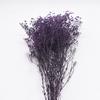 Buquê de flores secas Gypsophila Big Purple Dried Flower Indoor Living Room Ornaments Flower Arranjando flores eternas Marketing direto da fábrica
