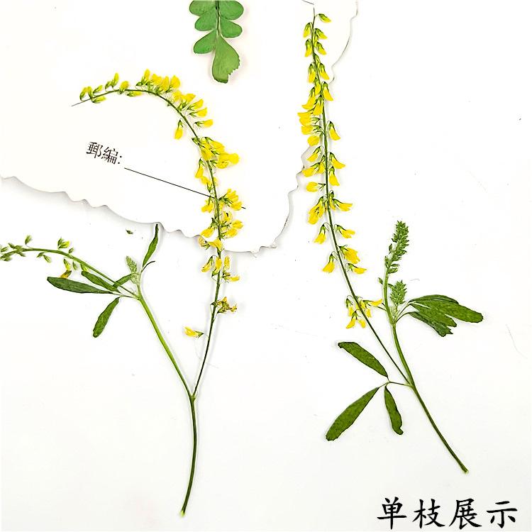 IMG20190914153129.jpg