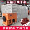 Secador de Schisandra de Ahorro de Energía, Secador Granular Biológico Tostado de Pimienta de Montaña, Fabricante de Sala de Secado a Baja Temperatura para Medicina Herbal China