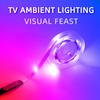 Tira de Luces LED USB RGB 2835 Controlador de 24 Teclas Luz de Fondo para TV Decoración del Hogar 45 LED/M Lámpara de Neón Multicolor