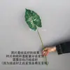 Impressão 3D de peça única de folhas de plantas verdes, folhas de taro, parede de plantas branca e verde decorada com fita adesiva