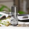 Vaso de vidro mágico nórdico simples Aurora arranjo de flores hidropônicas transparentes ornamentos criativos de mesa com água elevada atacado