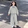 Nueva colección chic de estilo coreano para niñas de Primavera y Otoño: un conjunto de dos piezas que presenta un top con cuello y apariencia de capas y pantalones casuales a cuadros, perfecto para un estilo versátil