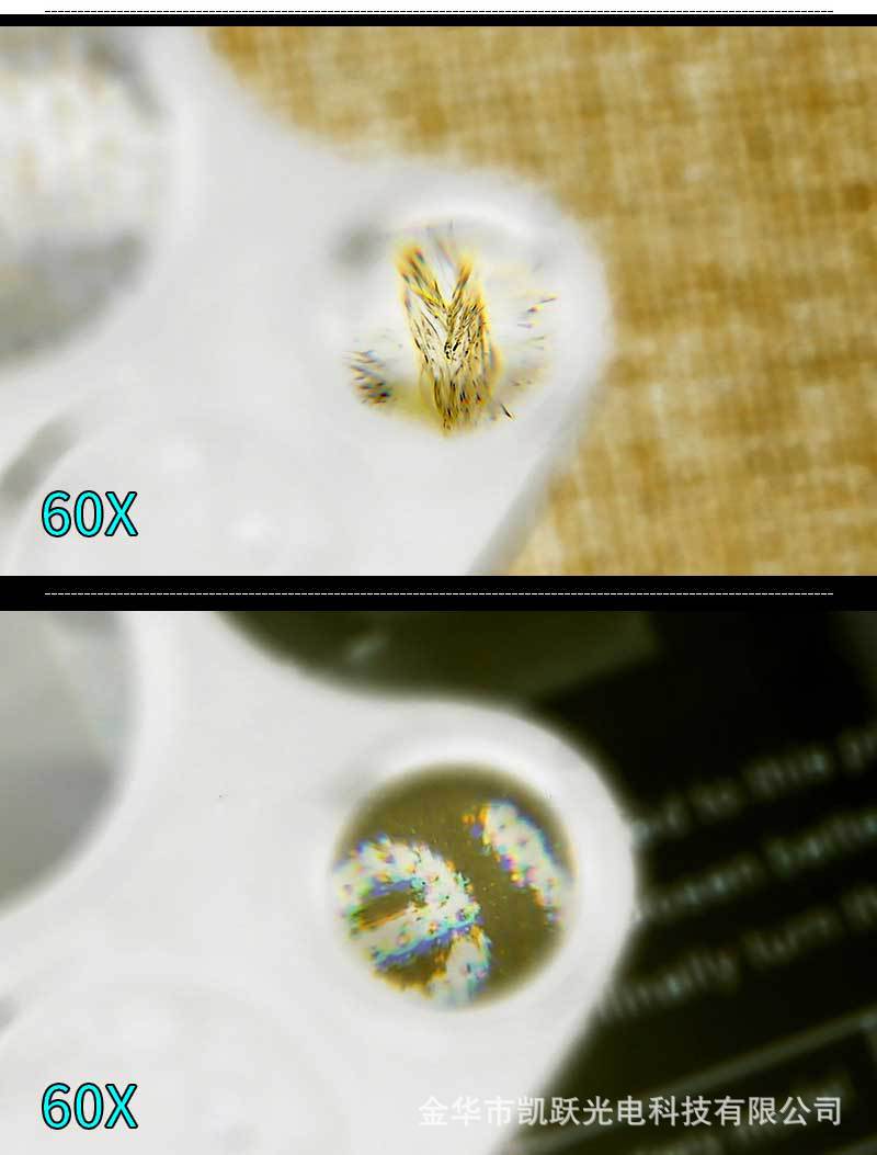 30/60倍