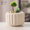 Mini Enfeites, Decoração de Suculentas, Vasos de Flores de Cerâmica para Suculentas, Vasos Polegar, Diâmetro Pequeno Fofo Pintados Controlados Pintados à Mão Mudanças de Forno