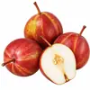 Selección Premium Pera Arcoíris Rara de Shaanxi, disponible para entrega 3/ 2.5kg Grandes, dulces, crujientes, peras frescas de temporada