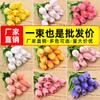 Flores Artificiales Mini Tulipán PU Estilo Escandinavo Boda Decoración del Hogar Accesorios Plantas Simuladas Venta al por Mayor Transfronteriza