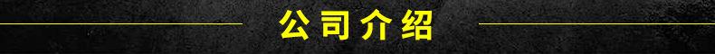 2.公司介绍