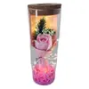 Flor Eterna Criativa Tubo de Vidro Tanabata Dia dos Namorados Presente Rosa Garrafa de Desejos Luminosa Presente de Feriado Atacado