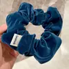 Scrunchie de Terciopelo Retro Otoño e Invierno Simple Versátil Goma para el Cabello Coleta Cuerda Elástica para el Cabello Accesorio Básico para el Cabello de Commuter Nuevo Estilo