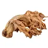 Hongos de Coral Secos Hongos Escoba Hongos Cepillo Hongos Secos Hongos Garra de Dragón Venta al por Mayor Dropshipping