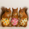 Nuevos Suministros para Mascotas Pequeñas Pañales Lavables para Ardillas para Mascotas Pequeñas para Usar al Salir para Entrenamiento, Limpieza y Absorción de Agua