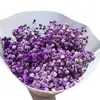 Gipsofila Flor Eterna Gipsofila de Yunnan Flor Seca Buquê Real Presente Pequeno Ornamento Fresco Decoração de Sala de Estar