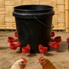 Bebedero Automático para Cría de Pollos, Tazón de Agua para Pollos, Patos, Gansos, Pollitos, Aves de Corral y Palomas, Botella de Agua para Alimentar Pollos, Especializado para la Cría de Animales