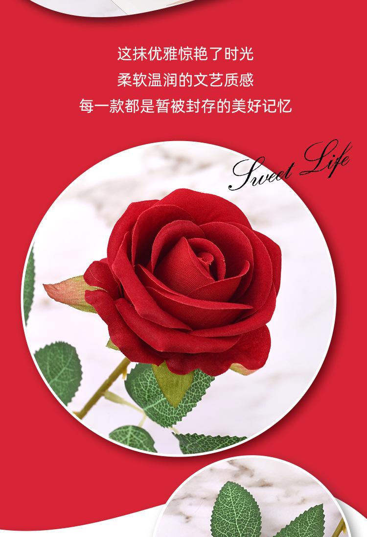 详情_02.jpg