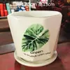 Maceta de Cerámica Tamaño Grande Oferta Especial Liquidación Interior Escritorio Balcón Suculenta Maceta Pequeña Clorofito Helecho Espárrago Maceta Simple Blanca