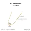 Colar de Aço Inoxidável com Diamante de Seis Garras, Temperamento e Alto Padrão, para Mulheres, Corrente para Clavícula com Zircônia de Luxo Leve, para Mulheres, Fornecimento no Atacado