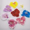 Cabeza de flor de Phalaenopsis de 10 cm de diámetro, decoración del hogar, flor de boda, planta de pared, flor falsa, flor seca para boda.