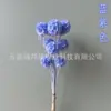 Moinho de Vento de Frutas com Flores Preservadas, Materiais Decorativos de Flores de Frutas de Pinha com Flores Preservadas, Enfeites para Arranjos de Flores, Venda Direta da Fábrica, Sucesso de Vendas Transfronteiriço