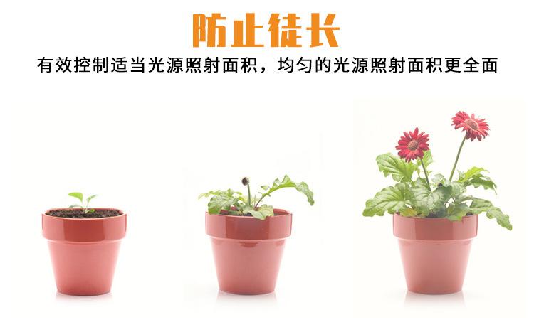 变形金刚-A款-自然白--蓝白（阿里巴巴）详情页_05.jp