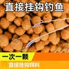 Cebo de Campo para Peces es Adecuado para Todas las Estaciones y se Puede Colocar Directamente en los Anzuelos para Carpa, Carpa de Hierba, Tilapia, Cebo Granulado, Cebo de Pesca Rápida para Personas Perezosas