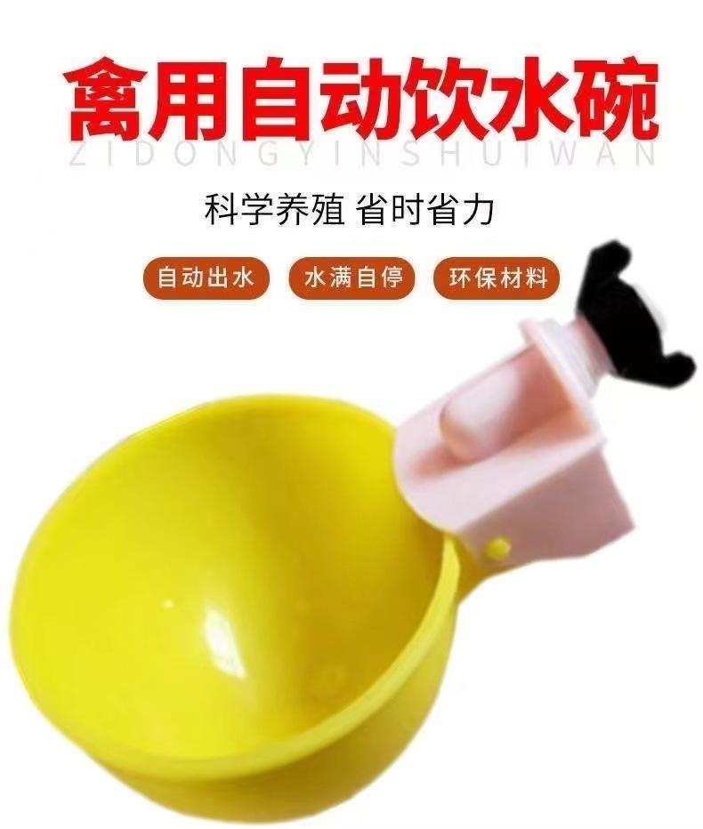 详情 (2).jpg