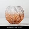 Vaso de vidro transparente criativo nórdico de barriga grande torcida para flores, simples, de boca larga, ornamentos para sala de estar