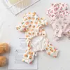Fábrica de Origen Ropa para Mascotas de Cuatro Patas Ropa para Perros Ropa para Mascotas Linda de Cuatro Patas Ropa para Perros de Cuatro Patas Ropa para Mascotas