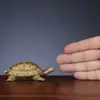 Enfeite de Tartaruga de Cobre, Tartaruga de Latão da Longevidade, Miniatura de Tartaruga de Cobre para Festa de Aniversário, Animal Tartaruga Pisoteada para Aniversário