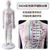 Folha de Cobre para Acupuntura Uso Doméstico Medicina Tradicional Chinesa Silicone Modelo de Diagrama de Meridianos do Corpo Humano com Pontos de Acupuntura