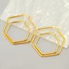 Brincos de aço inoxidável exagerados geométricos europeus e americanos da moda, fivela de orelha de aço de titânio dourado da moda, brincos de bobina hexagonal, pinos de orelha